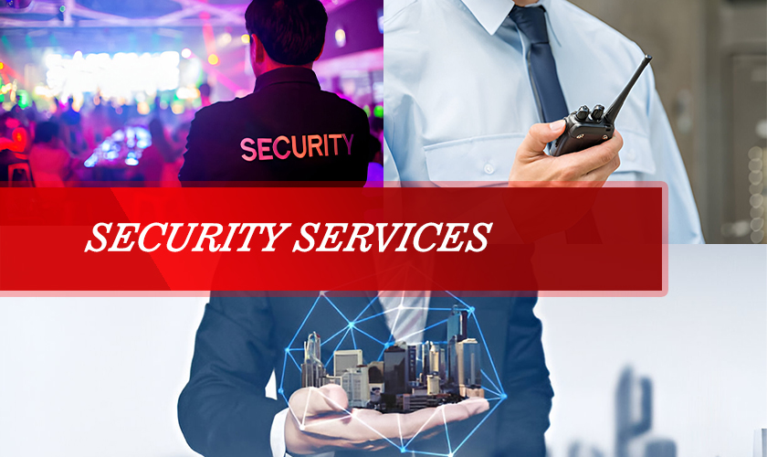 Professional Security Guard Services for Complete Protection